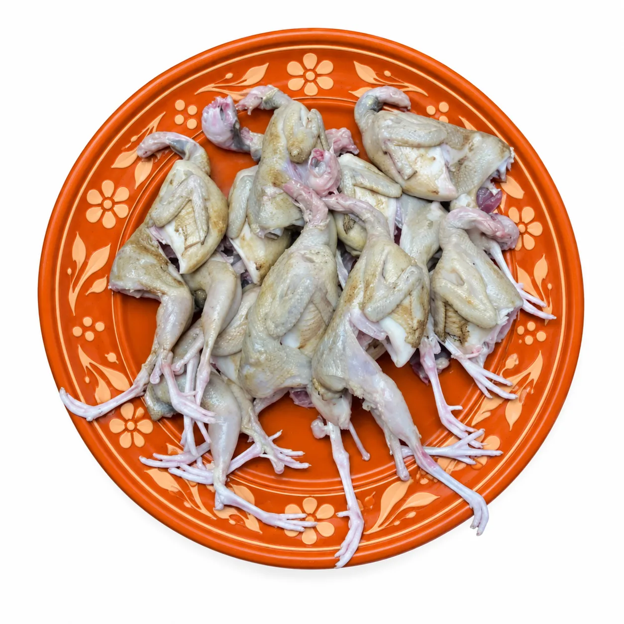 কোয়েল পাখি
